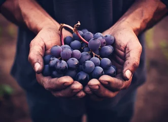 Fotobehang hand holding grapes © Yi_Studio