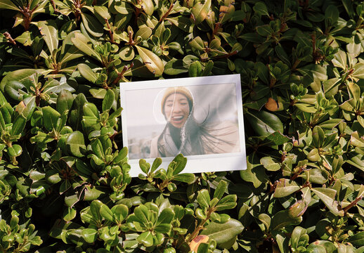 Mockup of customizable instant camera photo print available with different effects in a hedge
