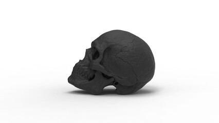 skull side view with shadow 3d render