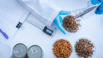 Close up picture of quality control personnel are inspecting the quality of canned pet food. Physical quality inspection. Quality control process of pet food industry..