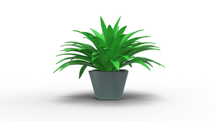 Spider Plant front view with shadow 3d render