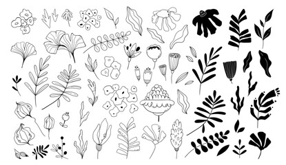 Set of hand painted mystic black and white vector flowers and leaves, branch silhouettes. Botanical cliparts summer or spring plants, Magic botany elements