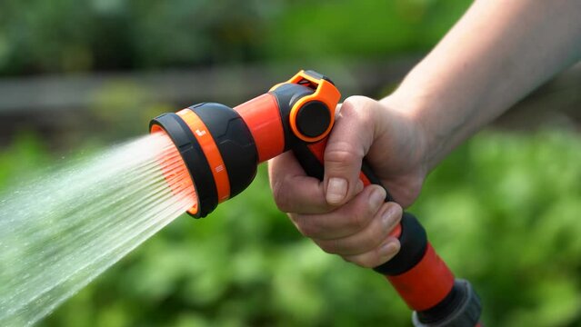 Hand holding a garden hose and watering a green garden. Hand use hoses to spray water. Water injection through a rubber tube. Watering plants in the yard