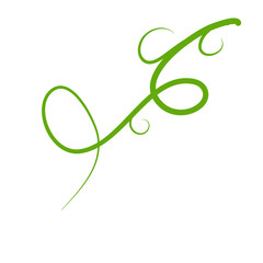 Green Liana Illustration