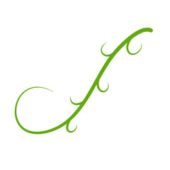 Obraz premium Green Liana Illustration