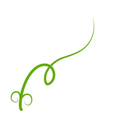 Obraz premium Green Liana Illustration