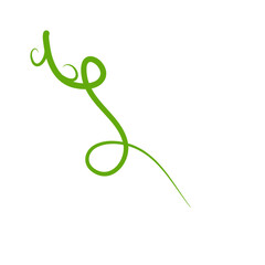 Obraz premium Green Liana Illustration