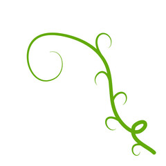 Obraz premium Green Liana Illustration