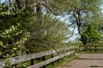 Ein Nachmittag Anfang Mai