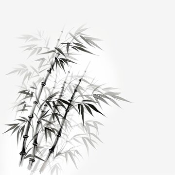 Bamboo isolated on a white background. Sumi-e ink design in Japanese style. Space for text. Digital illustration.