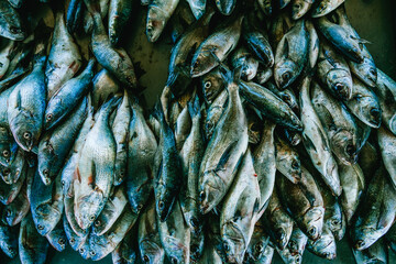 Fresh fish ready to sell in the market.