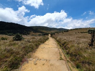 path in the mountains