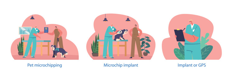 Isolated Elements With Animal Chipping Process Where A Small Microchip Is Implanted Under The Skin Of An Animal