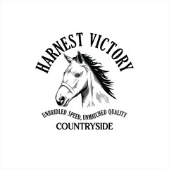 Horse Logo Design. Race Horse logo Inspiration Vector