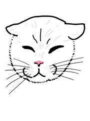 illustration of a white cat face