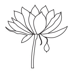 Fototapeta premium Flower one line art drawing with minimal flower vector