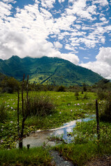 Fototapeta na wymiar Panoramic view mountains in Guatemala, area of las verapaces in central america, source of oxygen and fresh water.