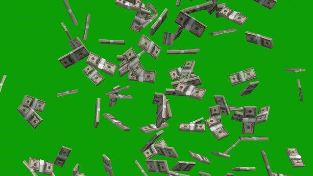 dollars bills falling down in 3D animation video on green screen 