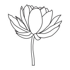 Flower one line art drawing with minimal flower vector