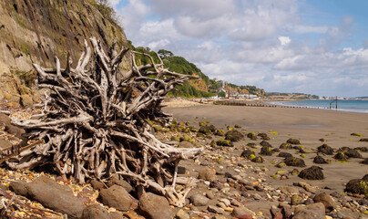 Low tide at Shanklin