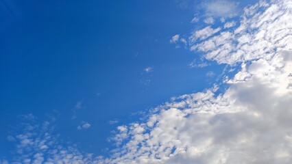 Fototapeta premium Beautiful Summer Sky 