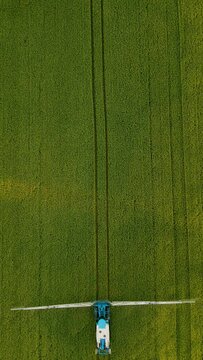 Top down view farming tractor spraying on field with sprayer, herbicides and pesticides at sunset. Farm machinery spraying insecticide to wheat crops. Work in agronomic farm for business and