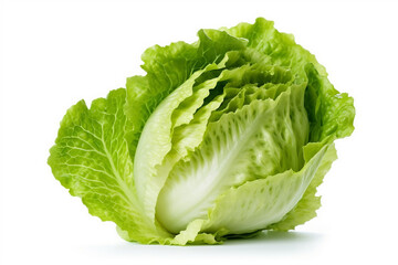 Green lettuce on White Background.Generative Ai. - obrazy, fototapety, plakaty