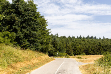 Fototapeta na wymiar countryside landscape with green trees lining the road