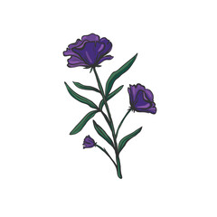 Beautiful purple flower vector illustration.  - 626992363