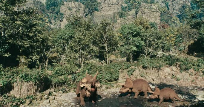 Triceratops walks through the jungle in search of food