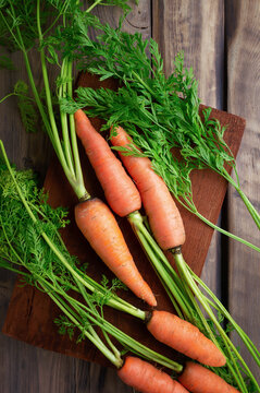 Tasty and delicious carrot fresh and healthy bunch of carrots food meal lunch dinner breakfast new carrot image natural.