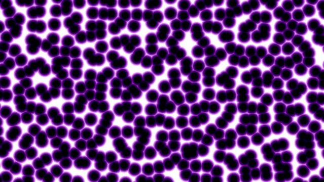 Abstract pink and white motion background loop