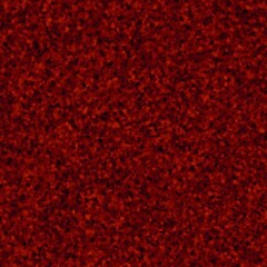 Elegant and Shiny Red Flower Background Image