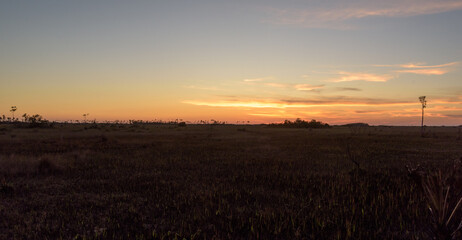 Sunsets in the Florida Everglades National Park on vacation in the winter. 