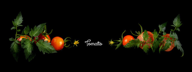 Cucumber and tomatoes with flower, leaf and spiral tendril on black background