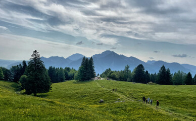 Wanderer auf einem Wanderweg nahe der Staffn Alm im Gebiet der Hochplatte, Alpen, Chiemgau, Bayern,...