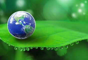 Earth sit on green leaf with a lot of water drops on blur light background, Sustainable development for save green world and water concept, Elements of this image furnished by NASA