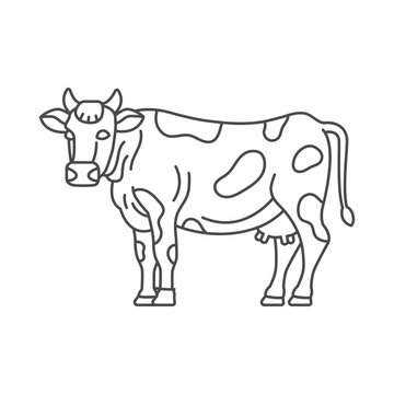 recommend clip art: Farm animal cow line icon design. Cow illustration. Domestic animal icon vector editable stroke. Cow line icon.