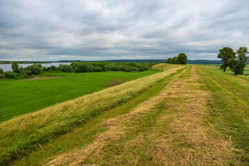 Vistula river in the middle of the fields.Pomerania, Poland.