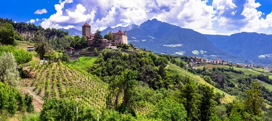 Gordijnen Italian medieval castles - majestic Tirolo Castle in Merano. surrounded by Alps mountains and vineyards. Bolzano province, Italy © Freesurf