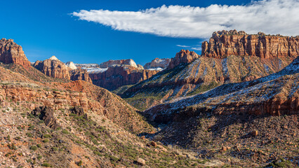 Fototapeta premium Zion National Park, Utah 