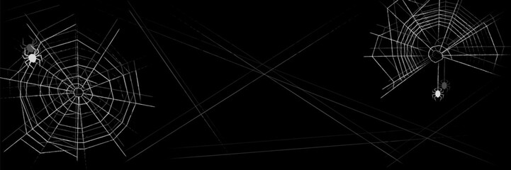 Halloween background with spider web. Abstract textured line cobwebs with spiders isolated on black backdrop. Banner, poster template with copy space. Vector illustration