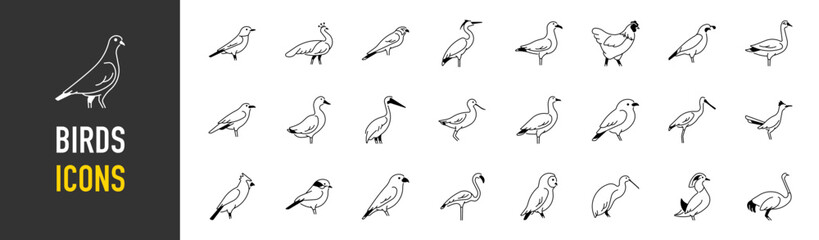 Set of birds Icons. Simple art style icons pack. Vector illustration

