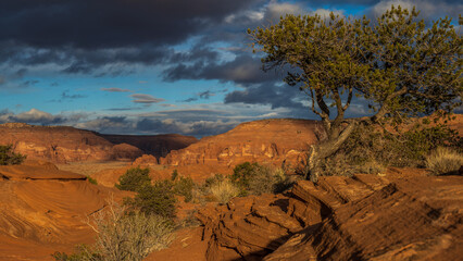 Mystery valley, Monument Valley Tribal Park, Arizona
