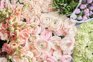 Many different colors. Showcase. Background of mix of flowers. Beautiful flowers for catalog or online store. Floral shop and delivery concept. Top view