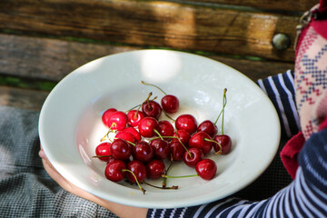 ripe red cherries in a white plate on the kid's lap