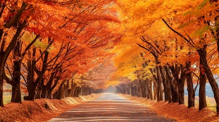Fototapete Backstein 美しい秋の紅葉の並木道