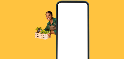 Collage With Big Phone And African Farmer Lady, Yellow Background