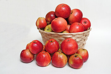 A large wicker basket, in which there are many ripe, natural apples, on a white background