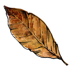 Fallen autumn leaf. Mixed media: graphics and watercolor. Isolated white background. Black outline.